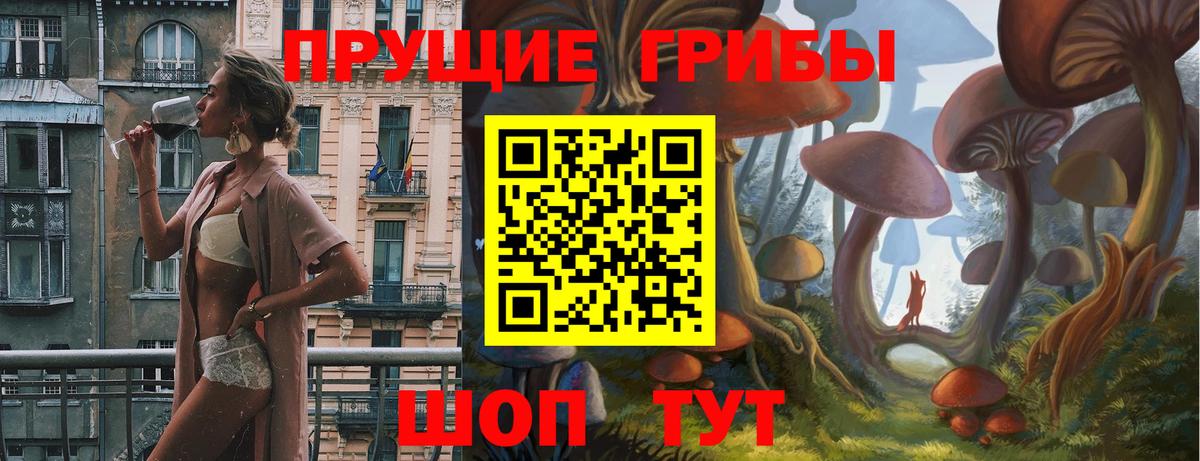 Псилоцибиновые грибы GOLDEN TEACHER  Вход с VPN  Абакан 